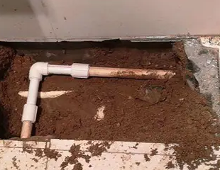 太仓测漏水哪家好