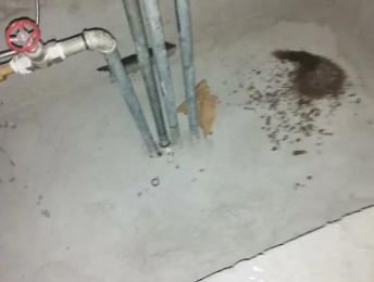 太仓卫生间测漏水价格明细