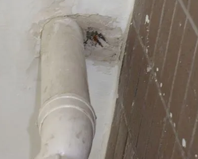 太仓漏水检测哪家好